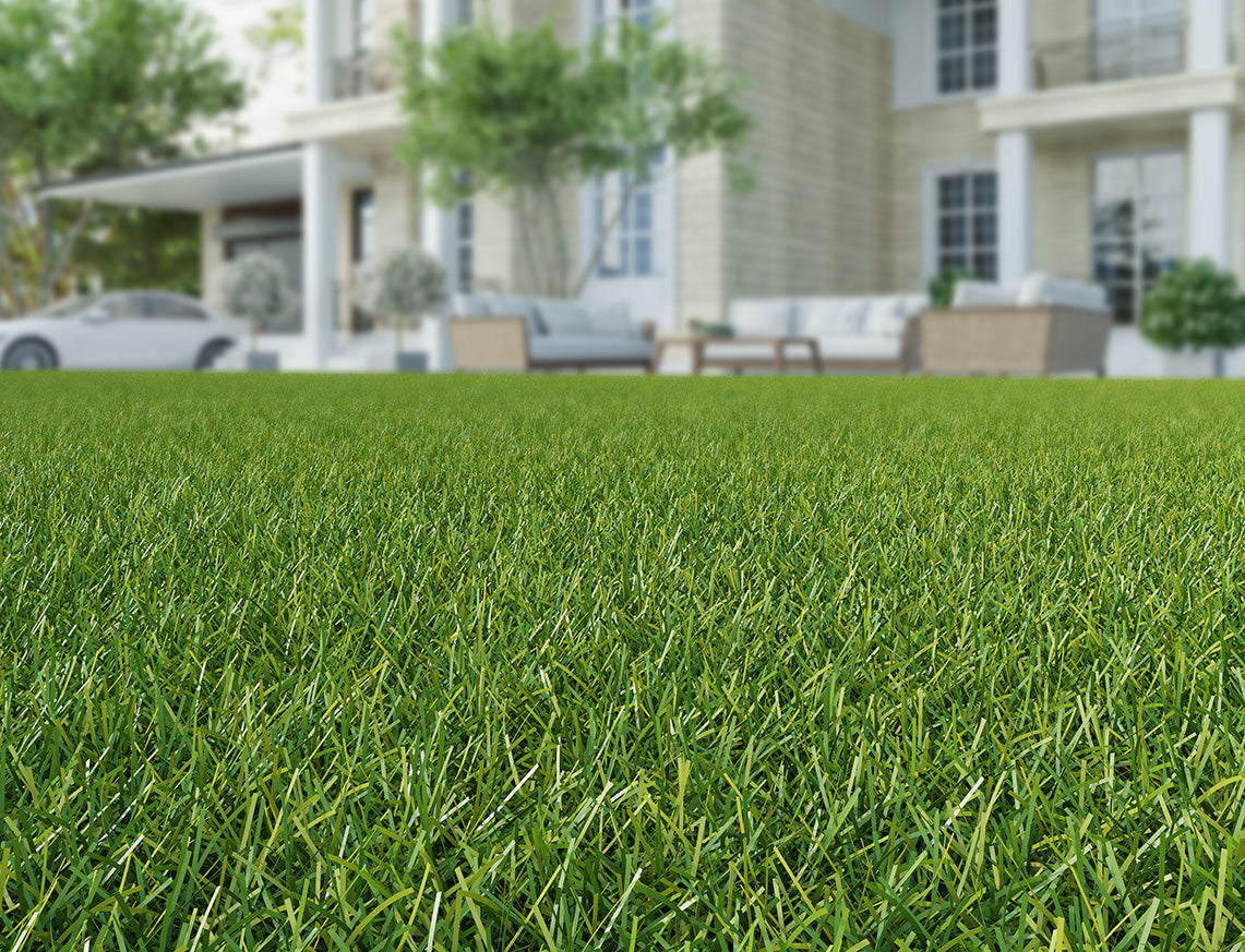 Lydford Artificial Grass