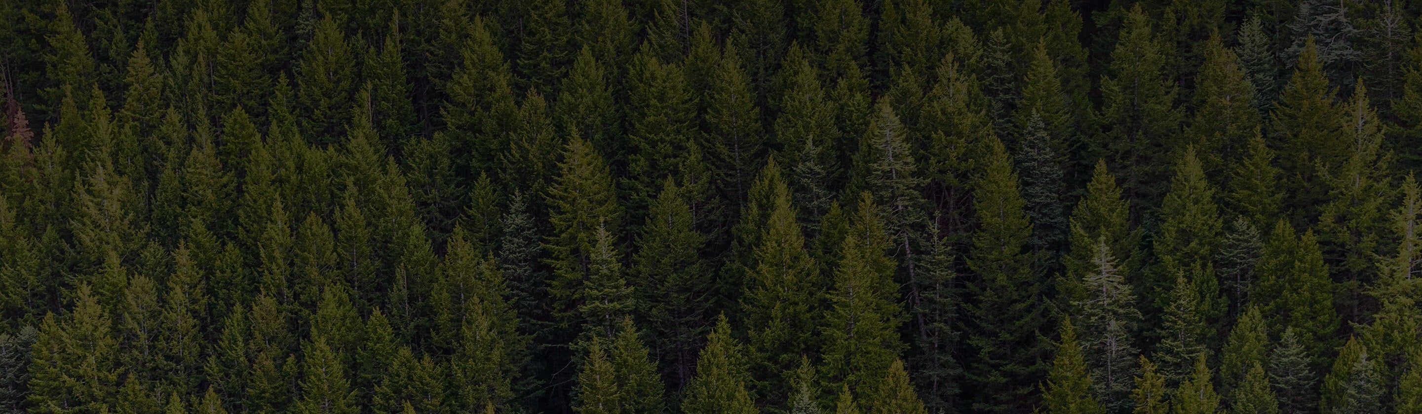 FSC ® Certified Wood