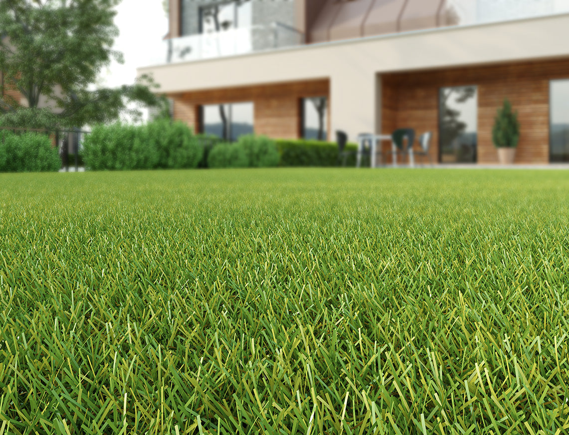 Corfe Artificial Grass