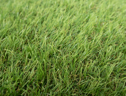 Lundy Artificial Grass