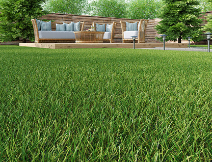 Woodchester Artificial Grass